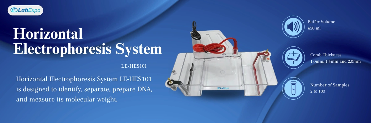 Horizontal Electrophoresis System LE-HES101