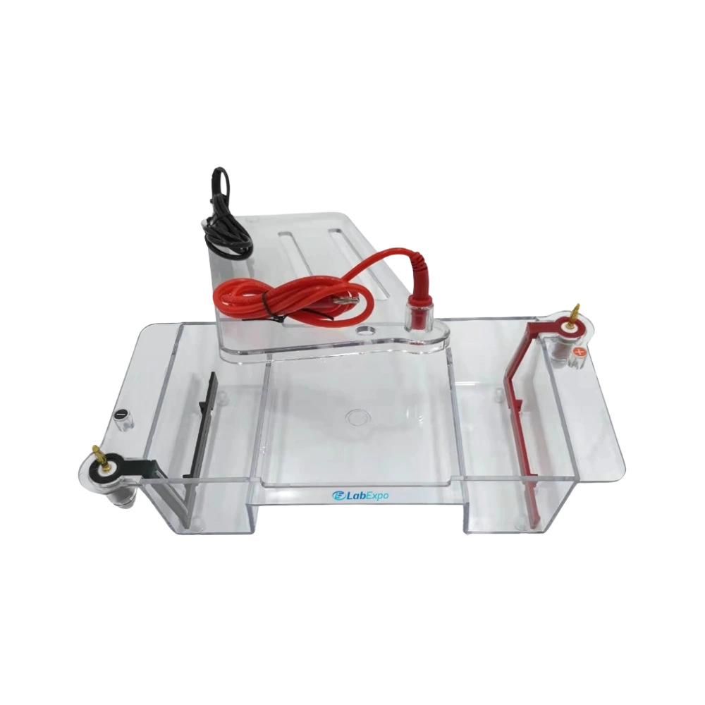 Horizontal Electrophoresis System