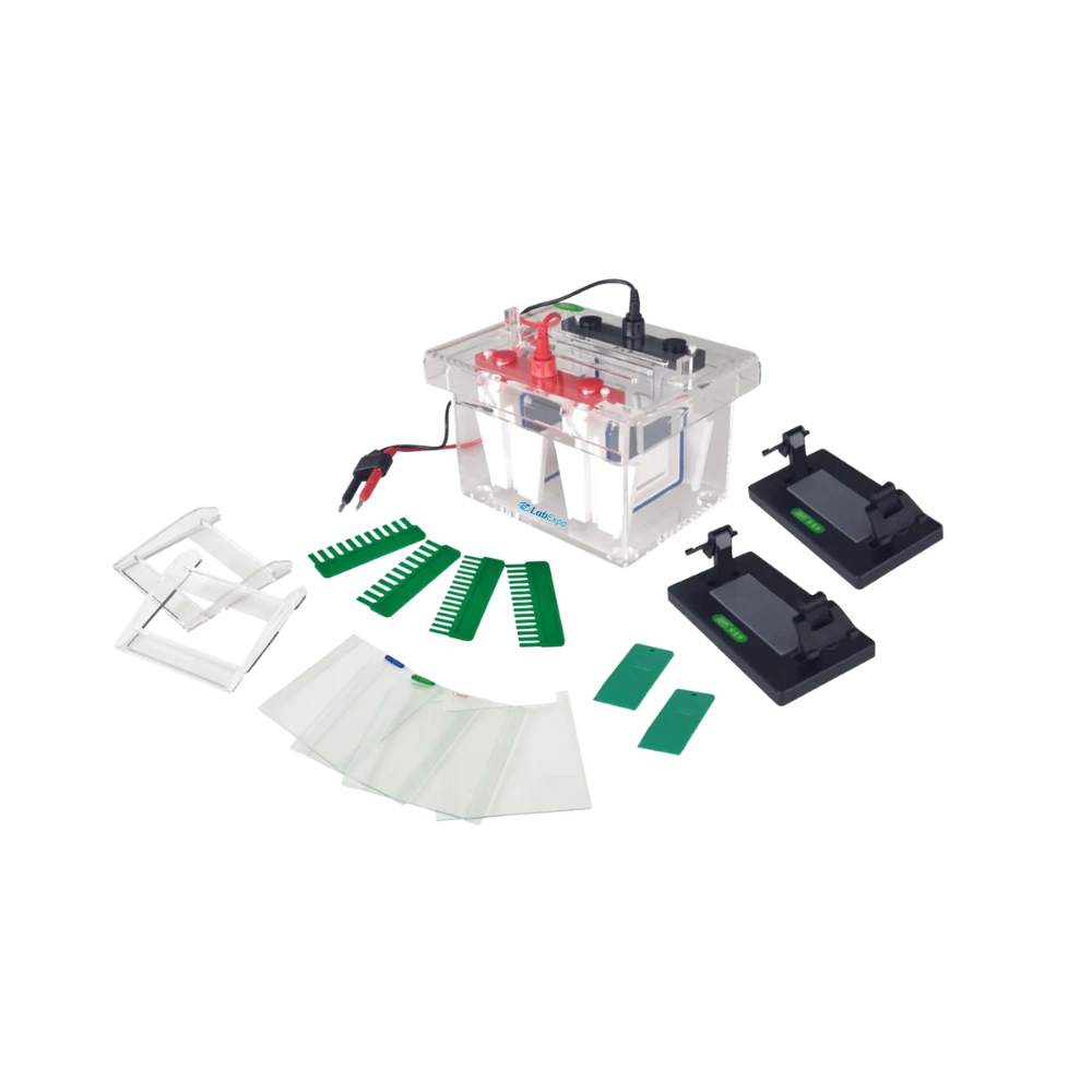 Vertical Electrophoresis System