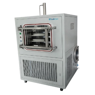 Pilot Scale Top Press Freeze Dryer 19A-PSF301