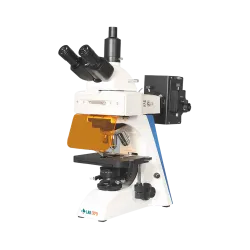 Fluorescence Microscope 43-FMS300