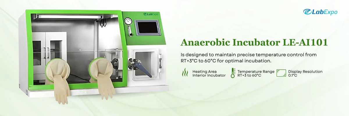 Anaerobic Incubator LE-AI101