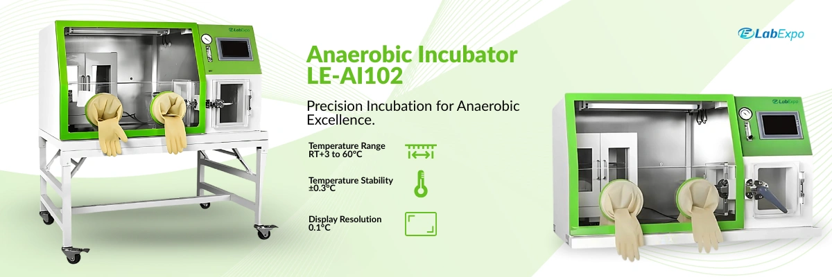 Anaerobic Incubator LE-AI102